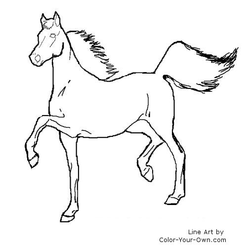 American Saddlebred Mare line art