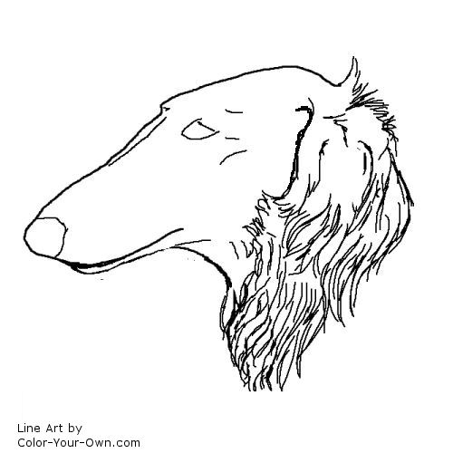 Borzoi headstudy line art