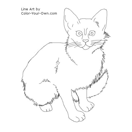 Javanese Cat Kitten line art