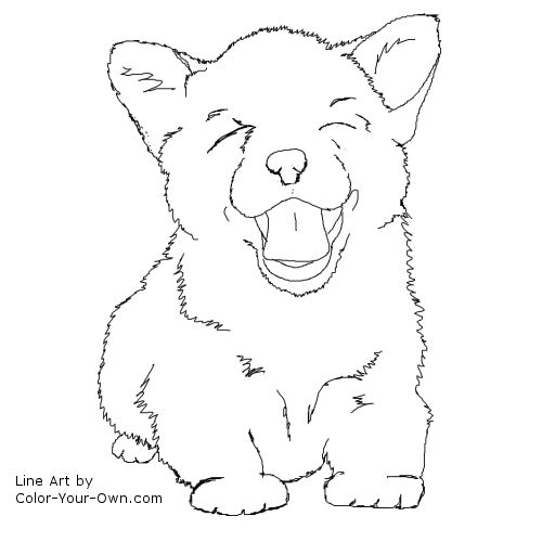 Corgi PUppy Line Art