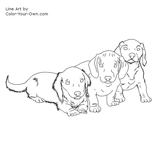 Racing Dachshund Line Art