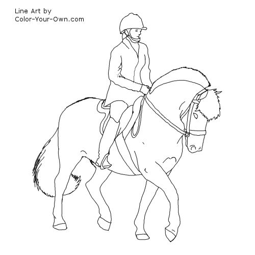 Norweigan Fjord horse dressage line art