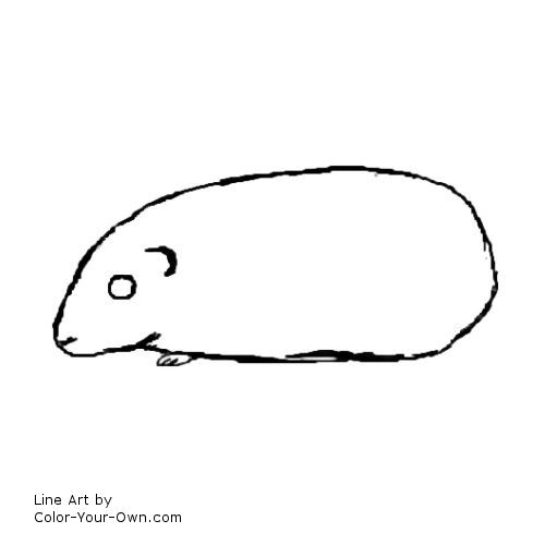 guinea pig line art