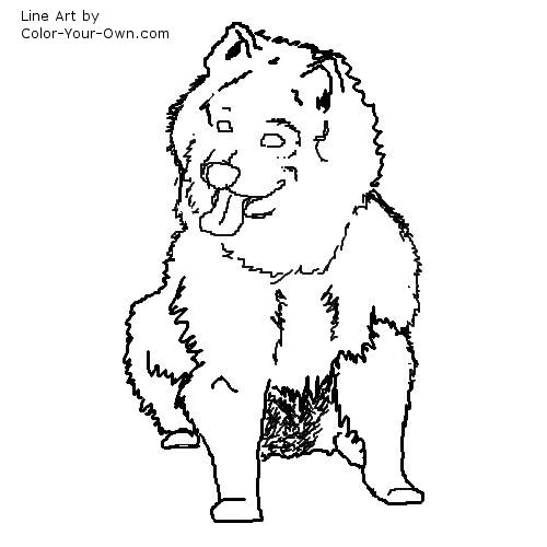 Dog - Japanese Spitz Line Art