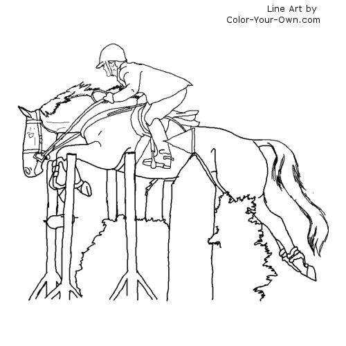 Thoroughbred Jumper line art