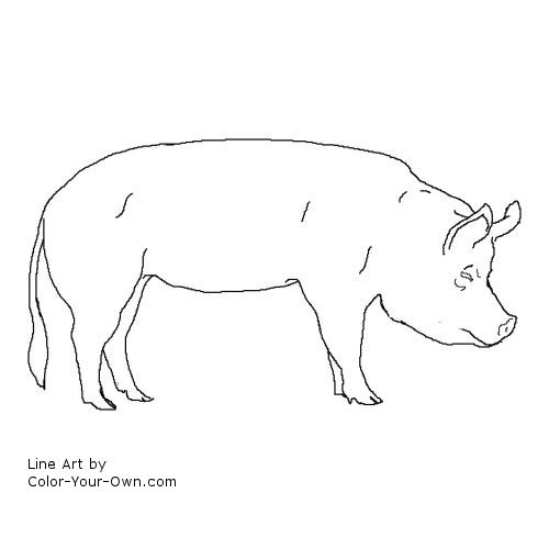 Pig line art