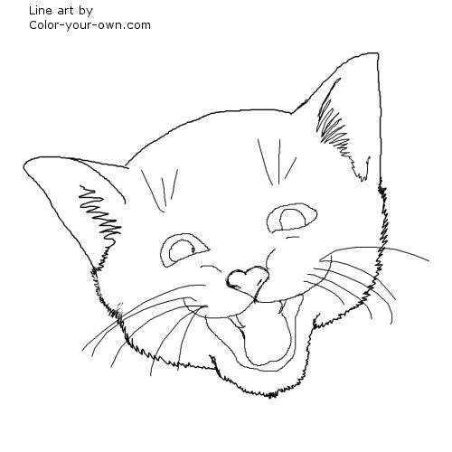 Kitten Line Art