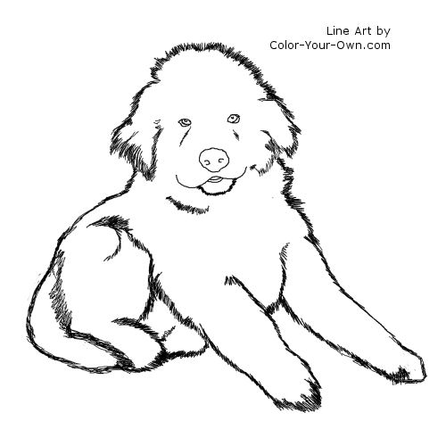 Newfoundland Puppy Line Art