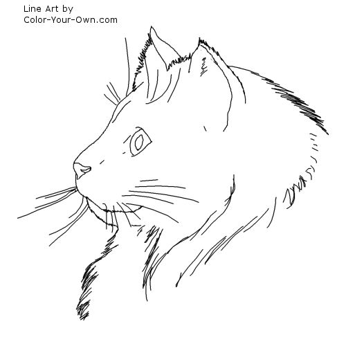 Norweigan Forest Cat Line Art