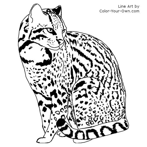 Ocelot Line Art