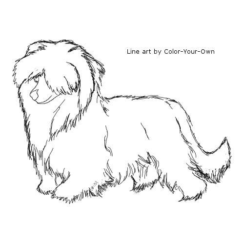 Powderpuff Chinese Crested Dog Line Art