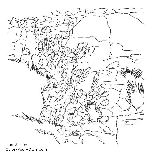 Prickly Pear Cactus in rocks Line Art