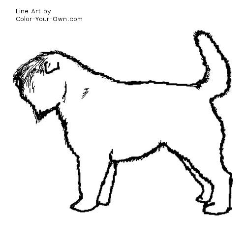 Bouvier des Flandes - natural tail and coat line art