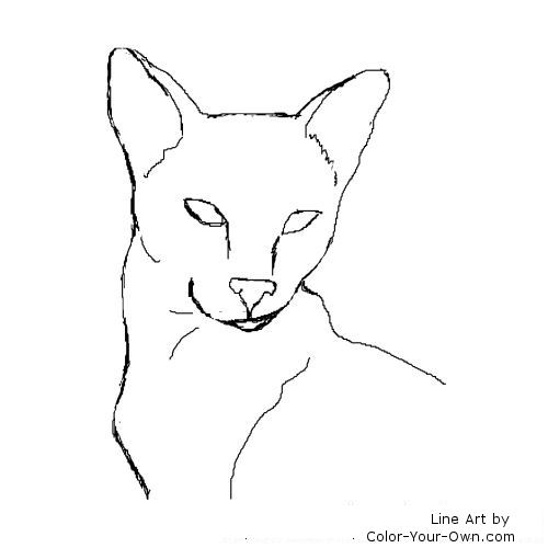 Siamese headstudy line art