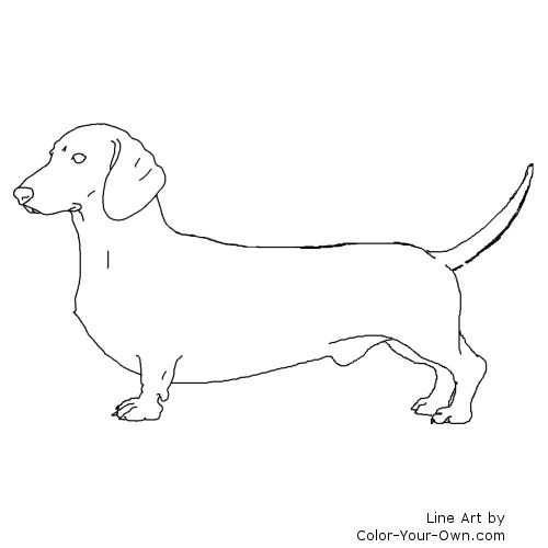 Dachshund Line Art