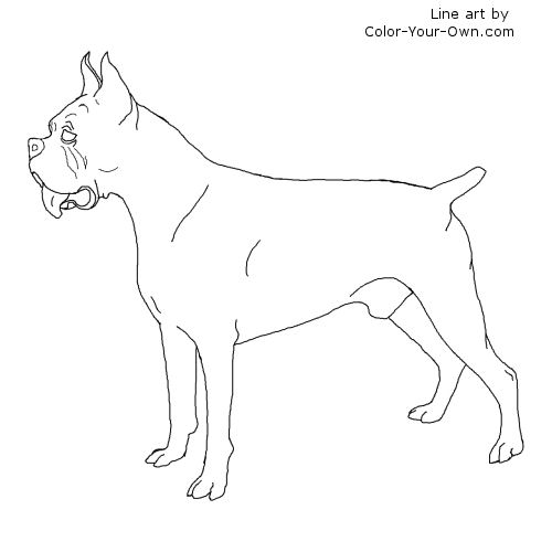 Boxer Puppy Line Art