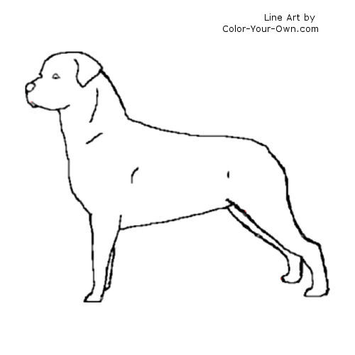 Rottweiler line art
