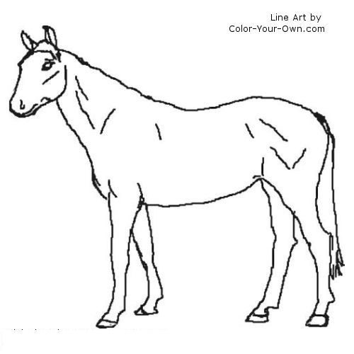 Warmblood Mare Line Art