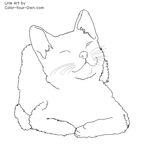 Winking Kitten Line Art