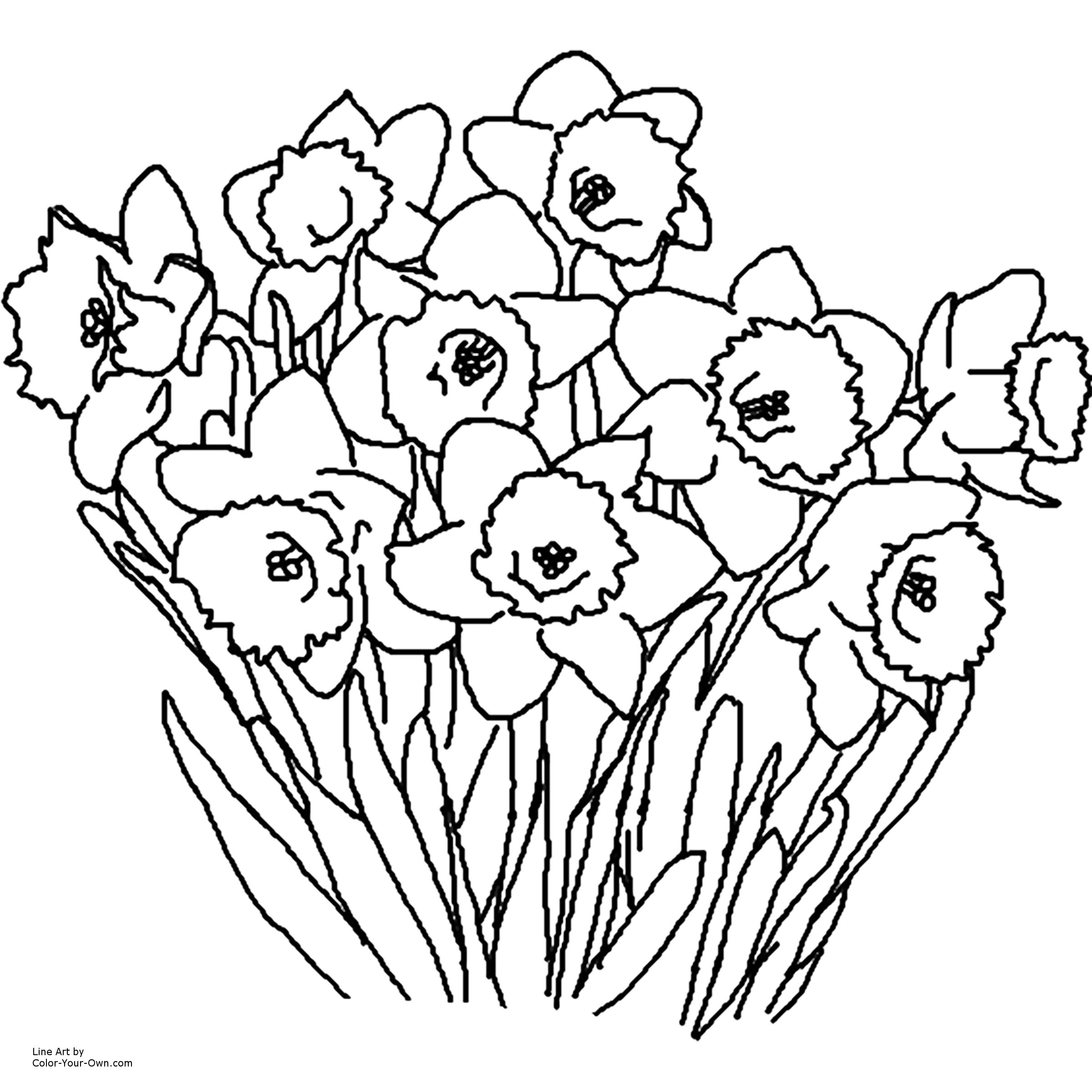Весенние цветы рисунок для детей